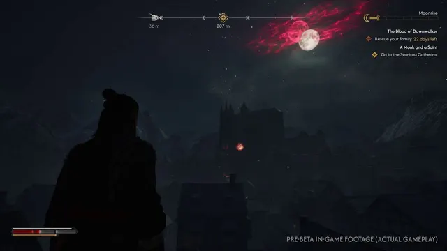 Coen overlooking Svartrau at night in official pre-beta gameplay